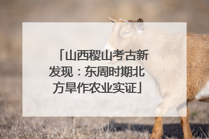 山西稷山考古新发现：东周时期北方旱作农业实证